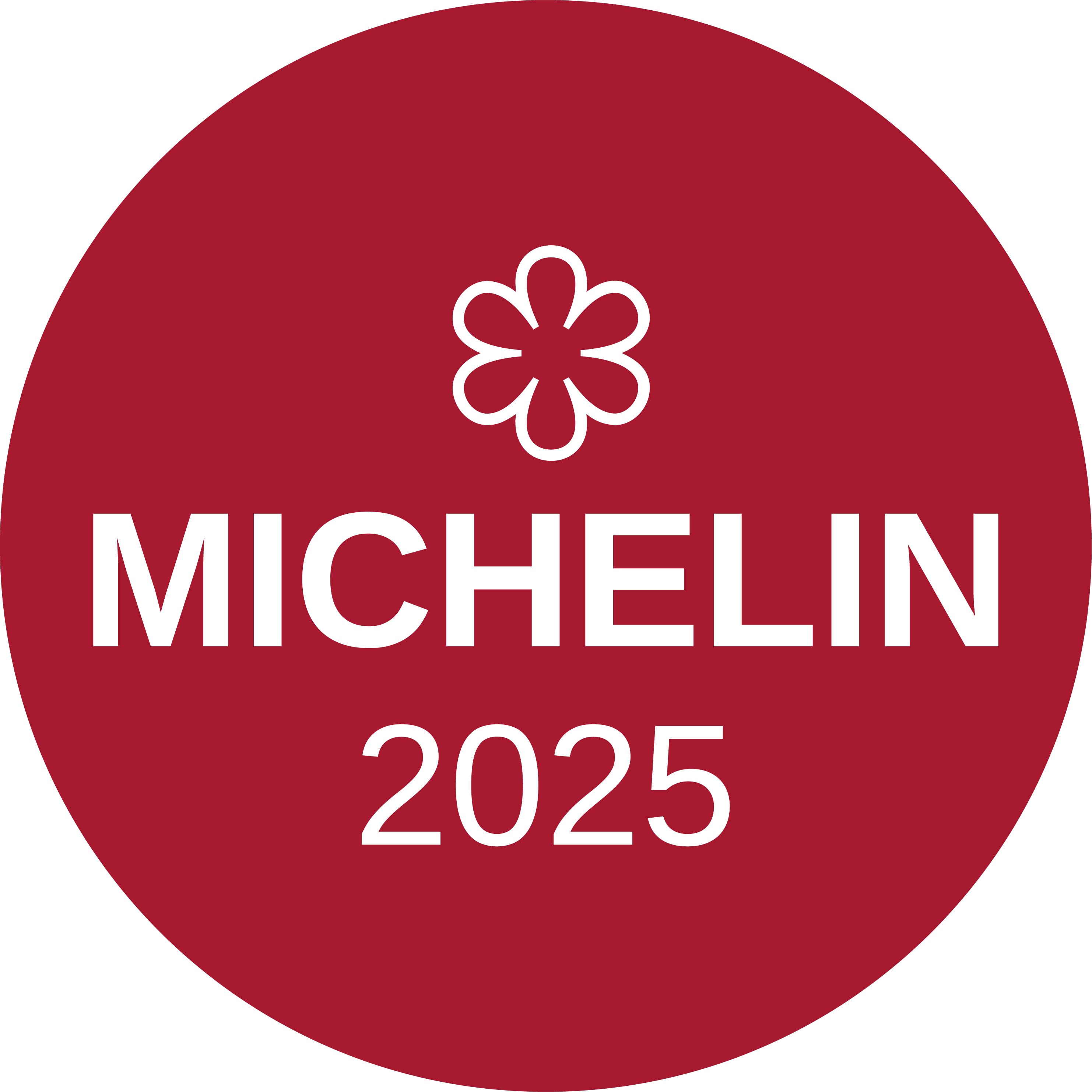 One Michelin Star